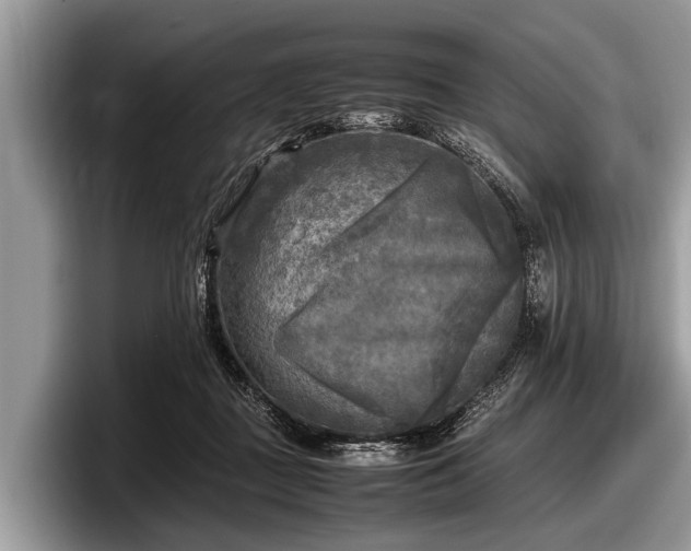 X0000097860363200803211259