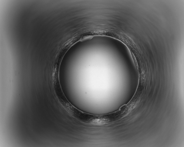 X0000097860364200803211259