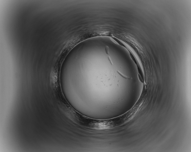 X0000097860365200803211259