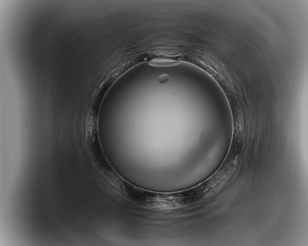 X0000097860367200803211259