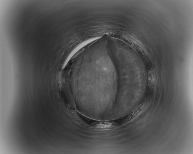 X0000097860369200803211259