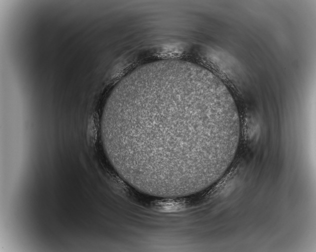 X0000097860370200803211259