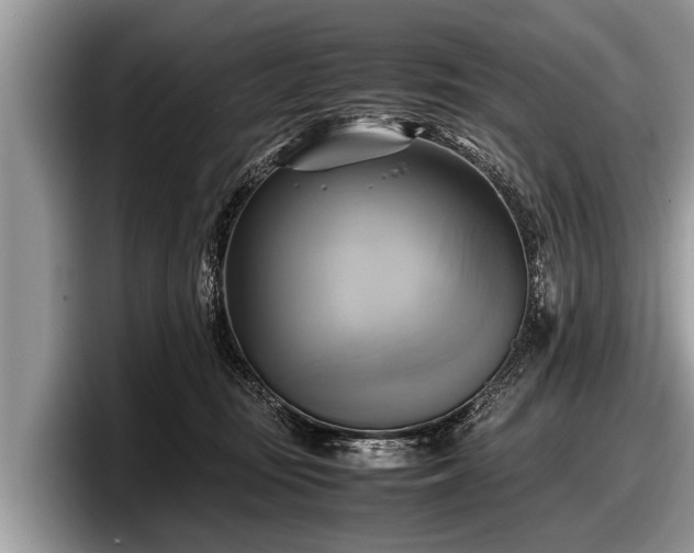 X0000097860371200803211259