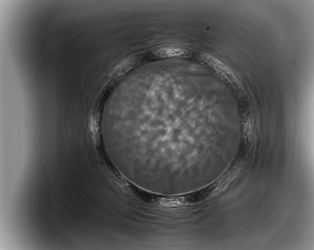 X0000097860373200803211259