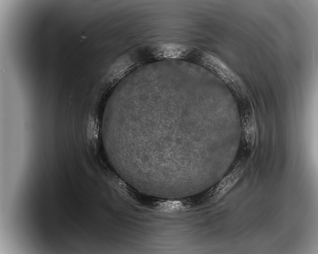 X0000097860374200803211259