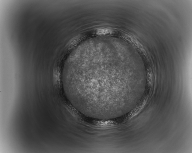 X0000097860375200803211259