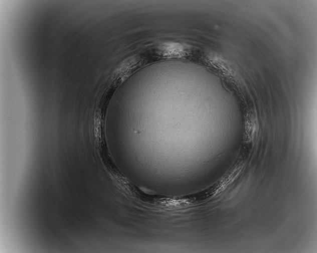 X0000097860379200803211259