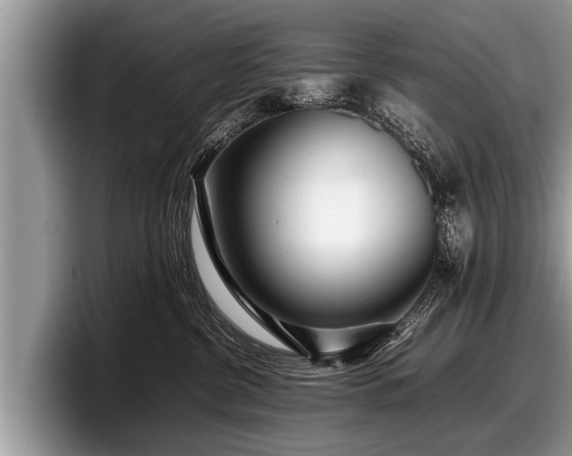 X0000097860380200803211259