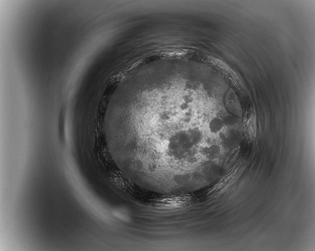 X0000097860381200803211259