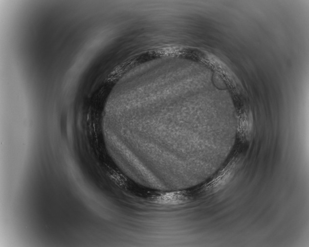 X0000097860382200803211259