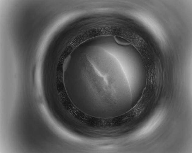 X0000097860383200803211259