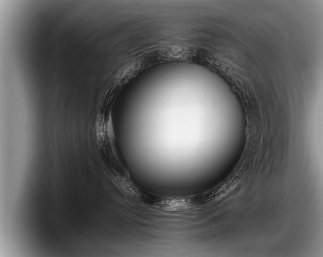 X0000097860384200803211259