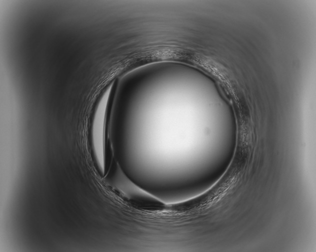 X0000097860393200803211258