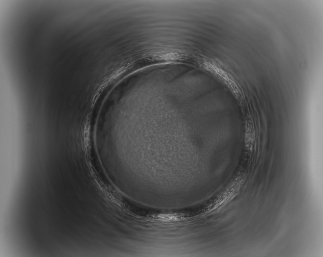 X0000097860394200803211258