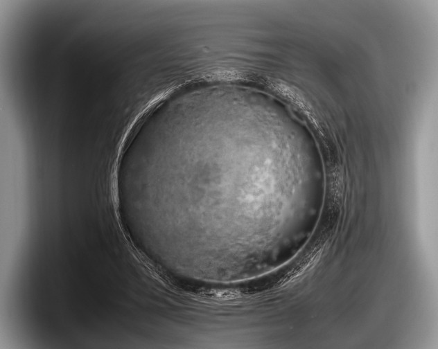 X0000097860395200803211258
