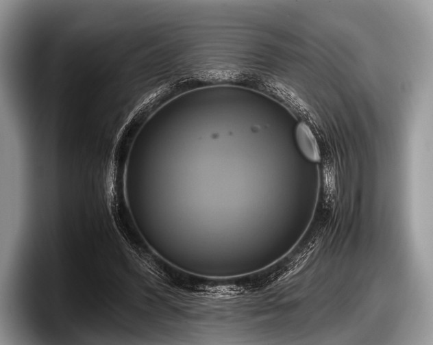 X0000097860396200803211258