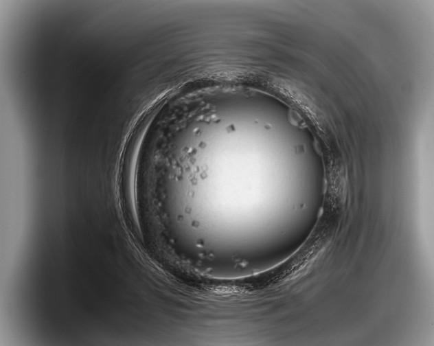 X0000097860399200803211258
