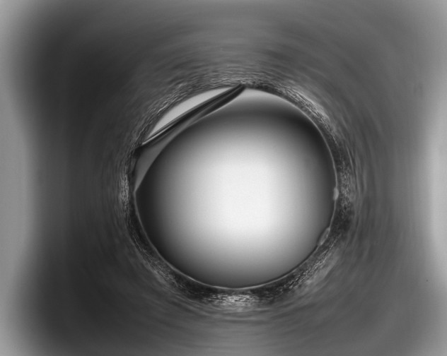 X0000097860401200803211258