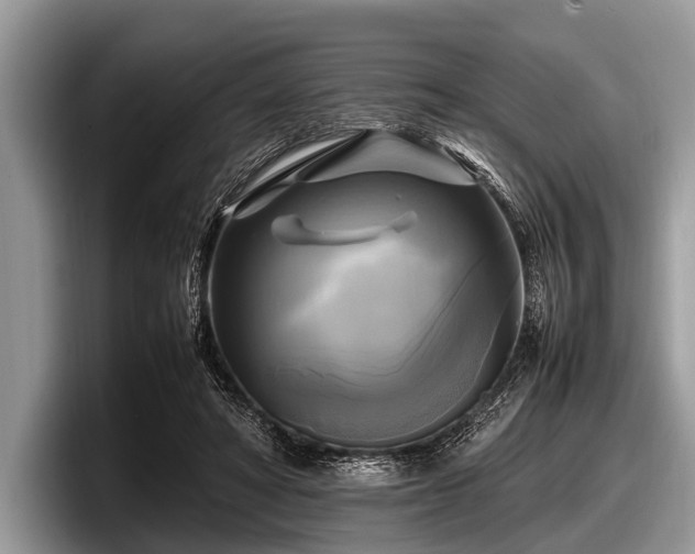 X0000097860402200803211258