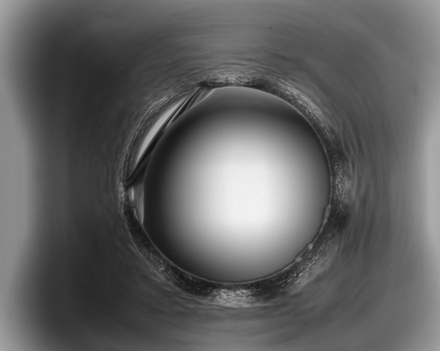 X0000097860403200803211258