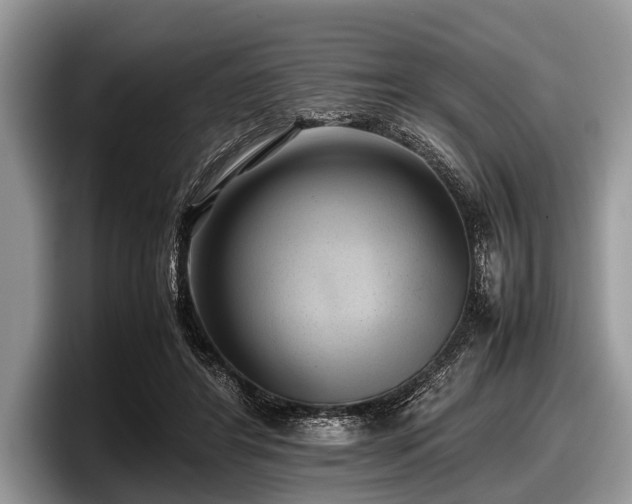 X0000097860404200803211258