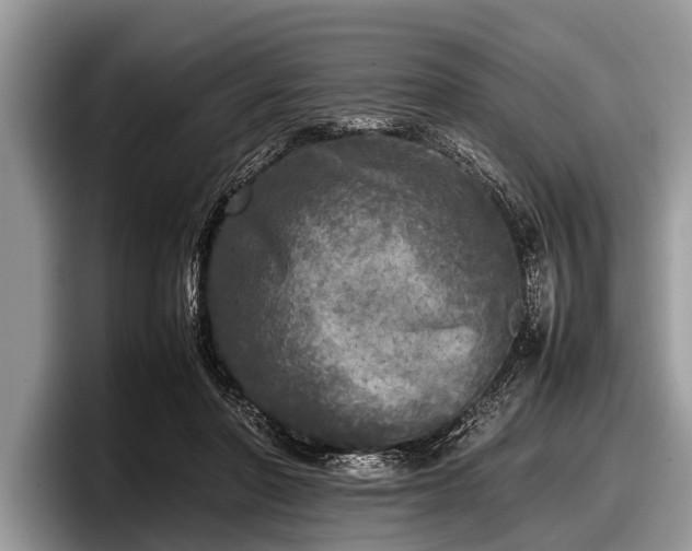 X0000097860406200803211258