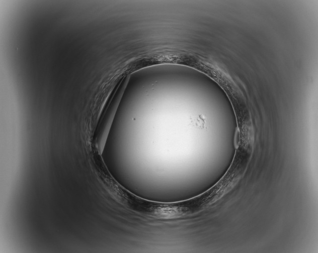 X0000097860413200803211258