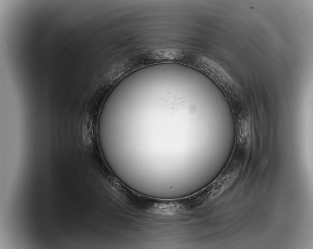 X0000097860414200803211258