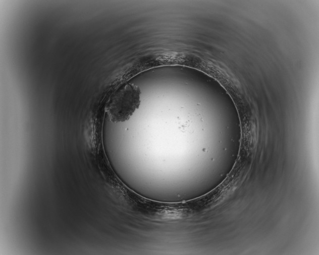 X0000097860416200803211258