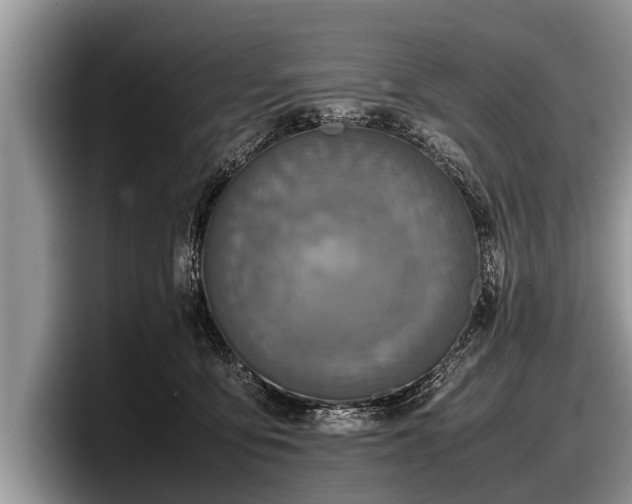 X0000097860419200803211258