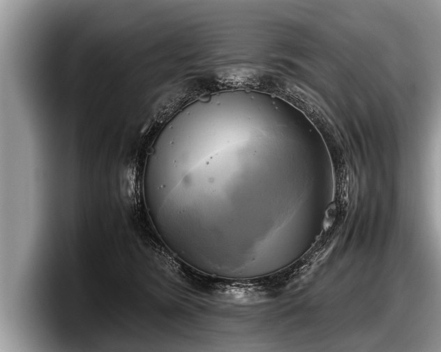 X0000097860420200803211258