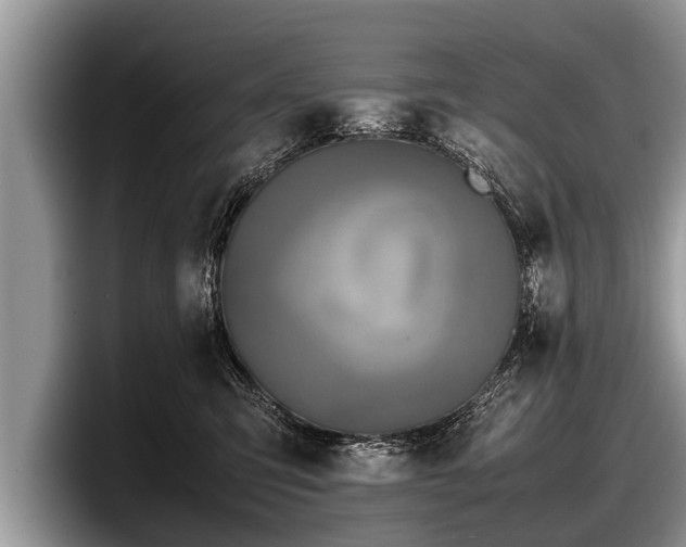 X0000097860423200803211258