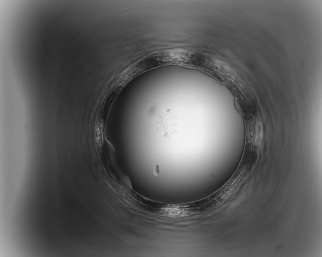 X0000097860425200803211258