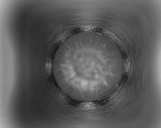 X0000097860427200803211258