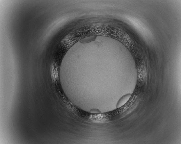 X0000097860431200803211258