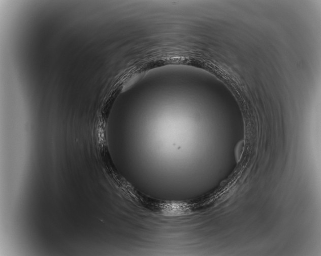 X0000097860432200803211258