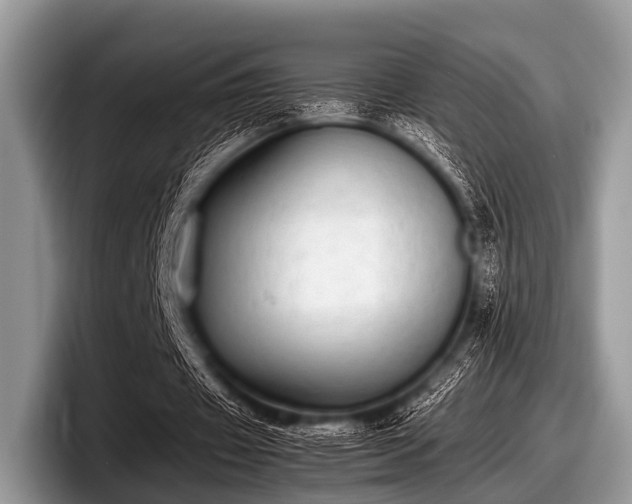 X0000097860433200803211257