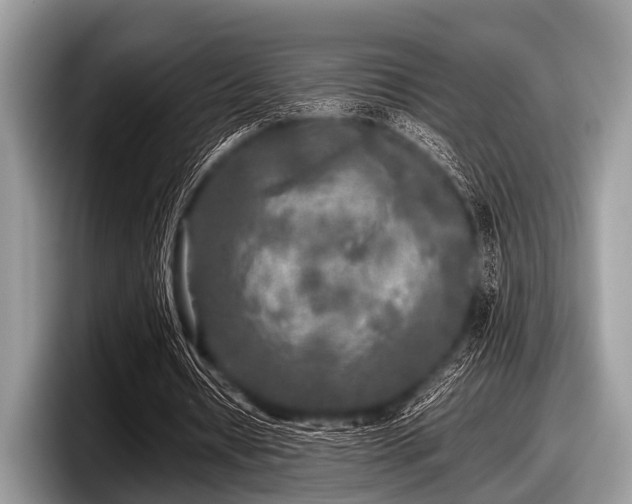 X0000097860434200803211257