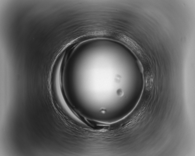 X0000097860436200803211257