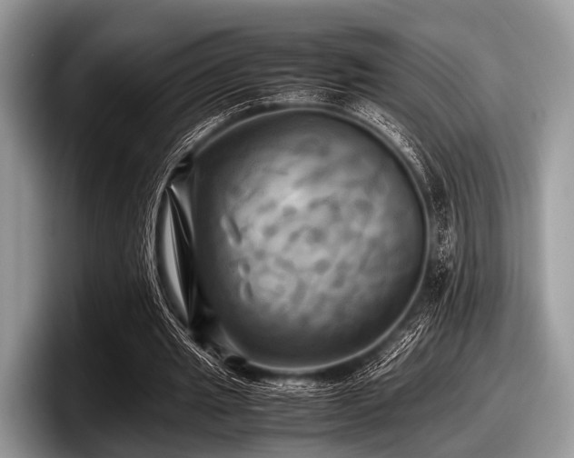 X0000097860437200803211257