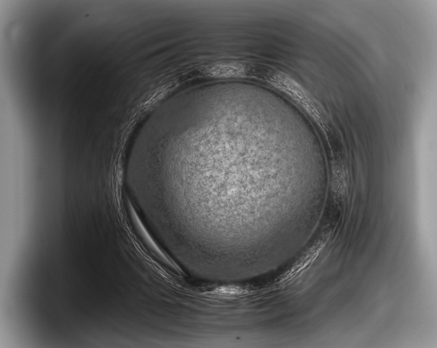 X0000097860441200803211257