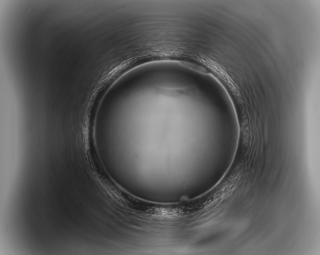 X0000097860442200803211257