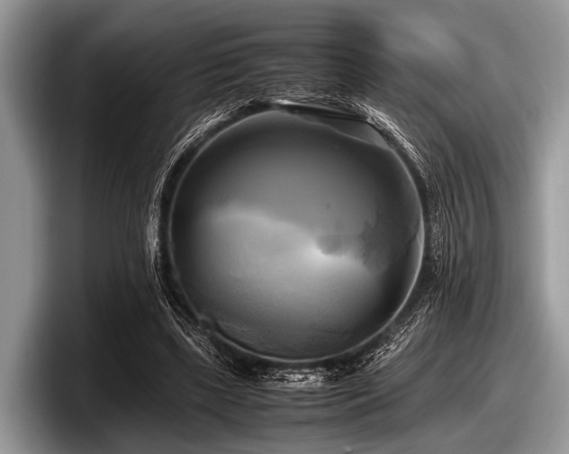 X0000097860443200803211257