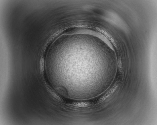 X0000097860445200803211257