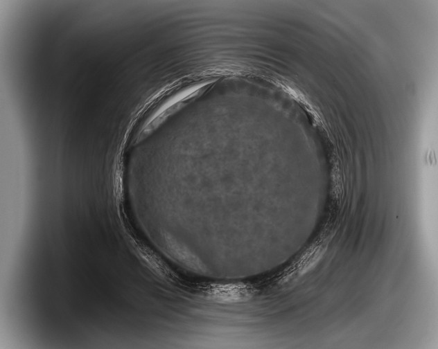 X0000097860446200803211257