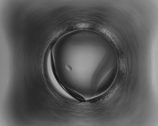 X0000097860447200803211257