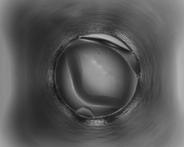 X0000097860449200803211257