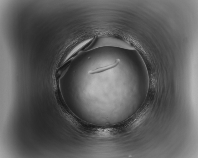 X0000097860450200803211257