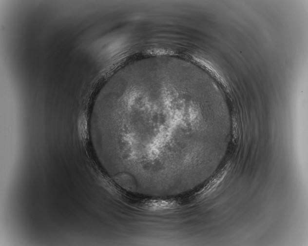 X0000097860453200803211257