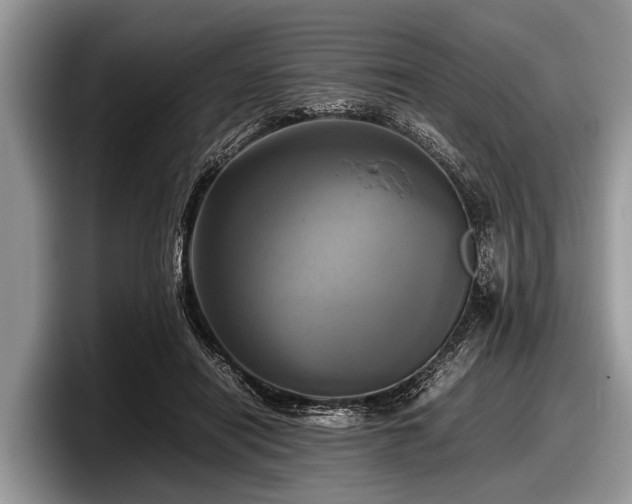 X0000097860454200803211257